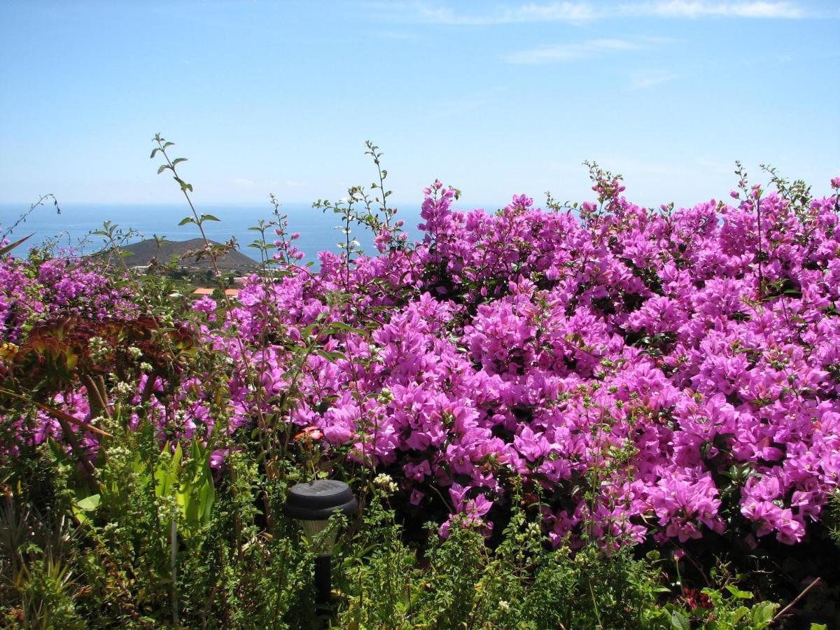 לוס יאנוס דה אריאדנה Casa Flores מראה חיצוני תמונה