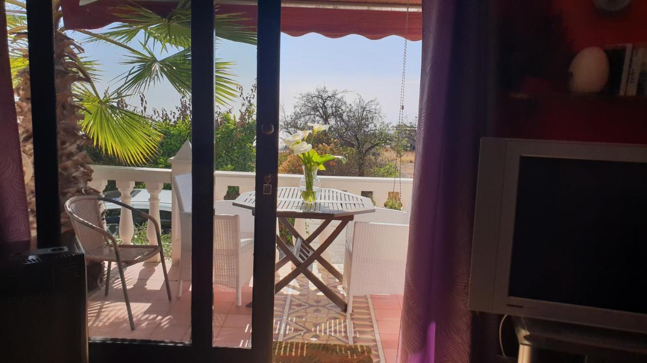לוס יאנוס דה אריאדנה Casa Flores מראה חיצוני תמונה