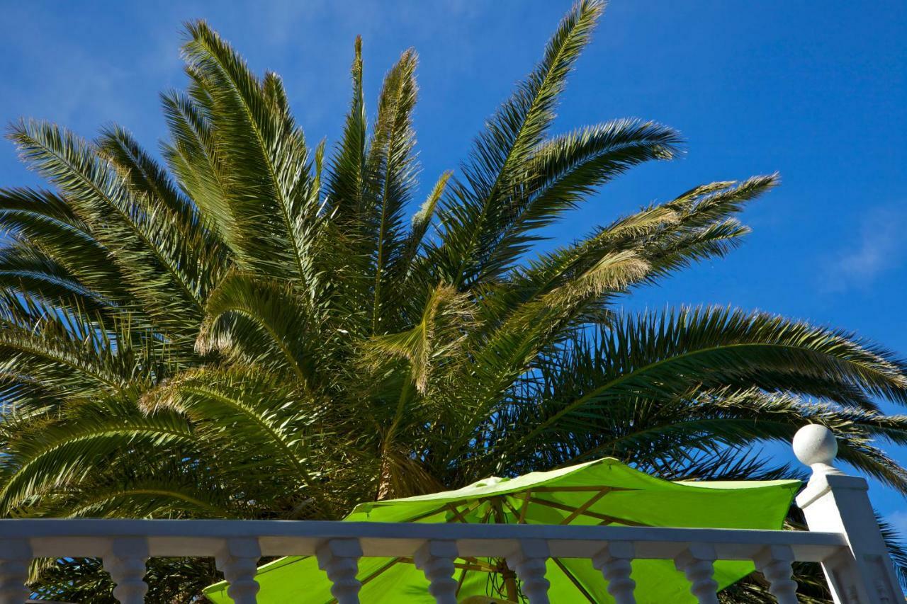 לוס יאנוס דה אריאדנה Casa Flores מראה חיצוני תמונה